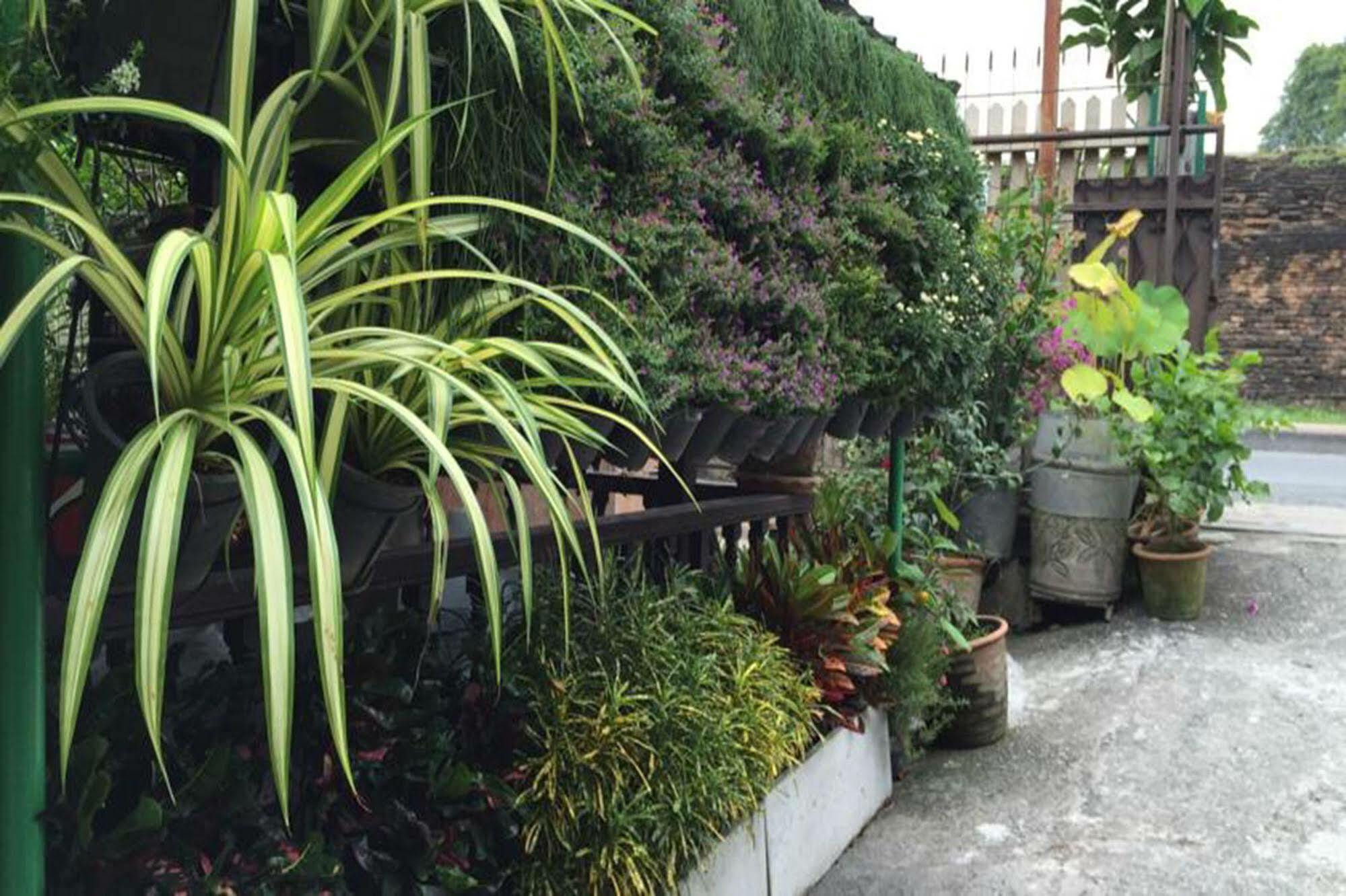 צ'יאנג מאי Siriwan Guesthouse מראה חיצוני תמונה